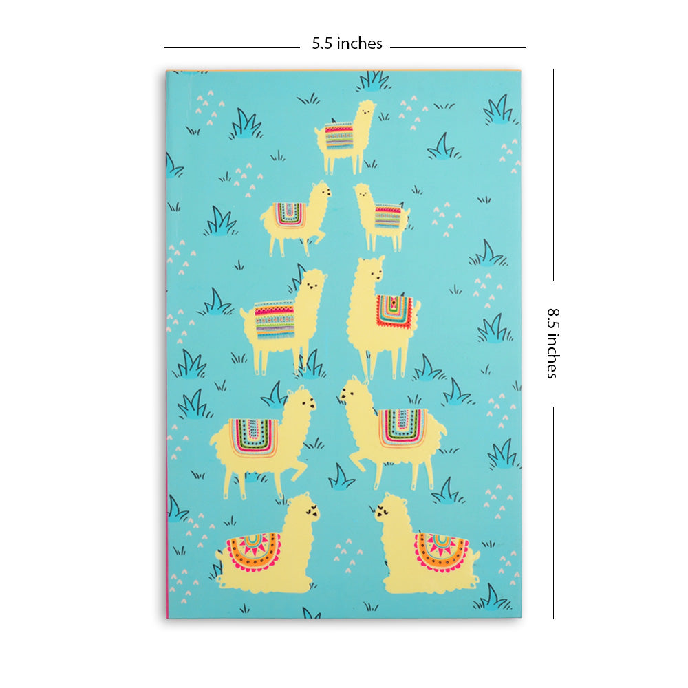 Notebook - Alpaca 2