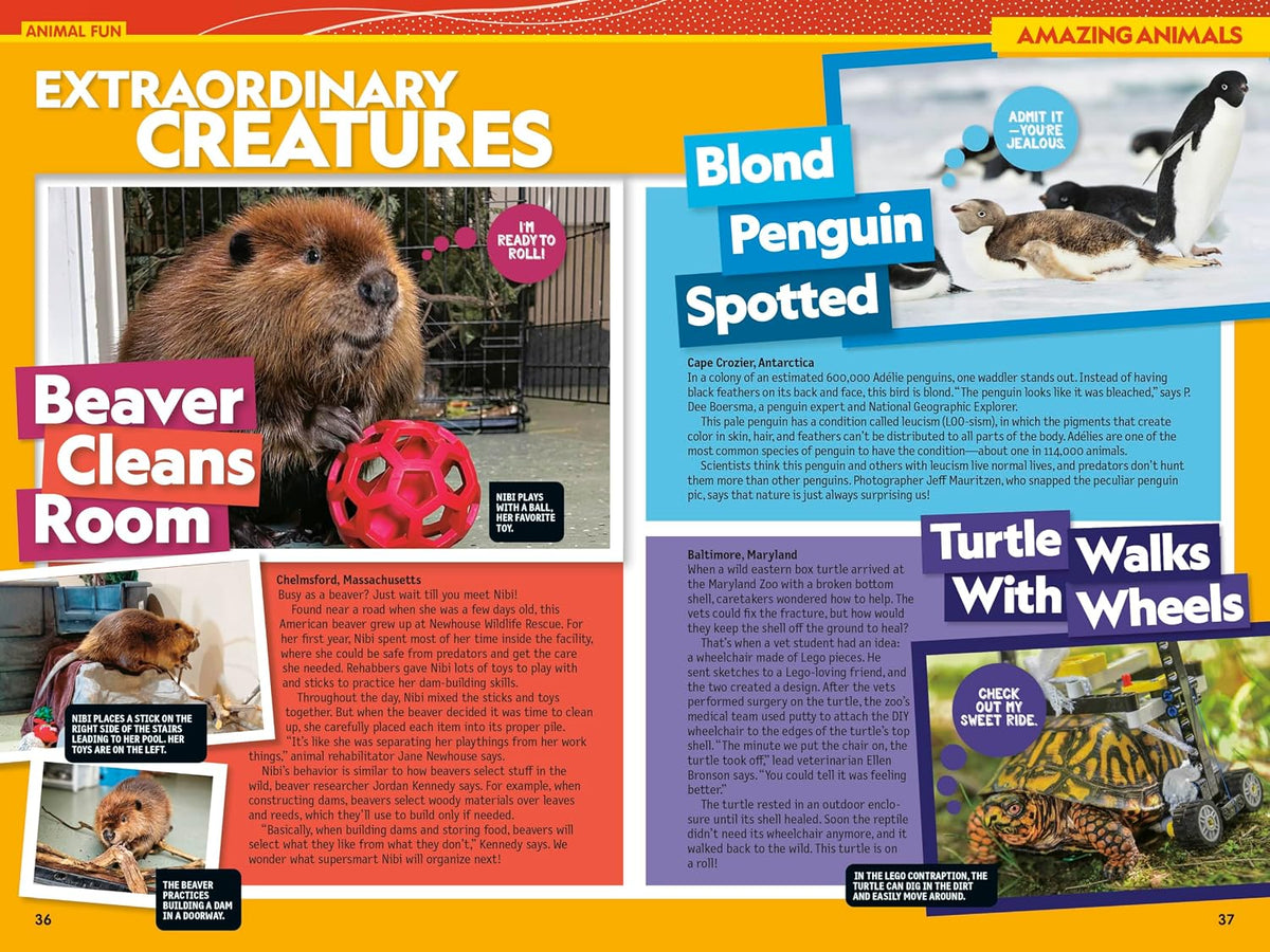 National Geographic Kids Almanac 2027 (Paperback)