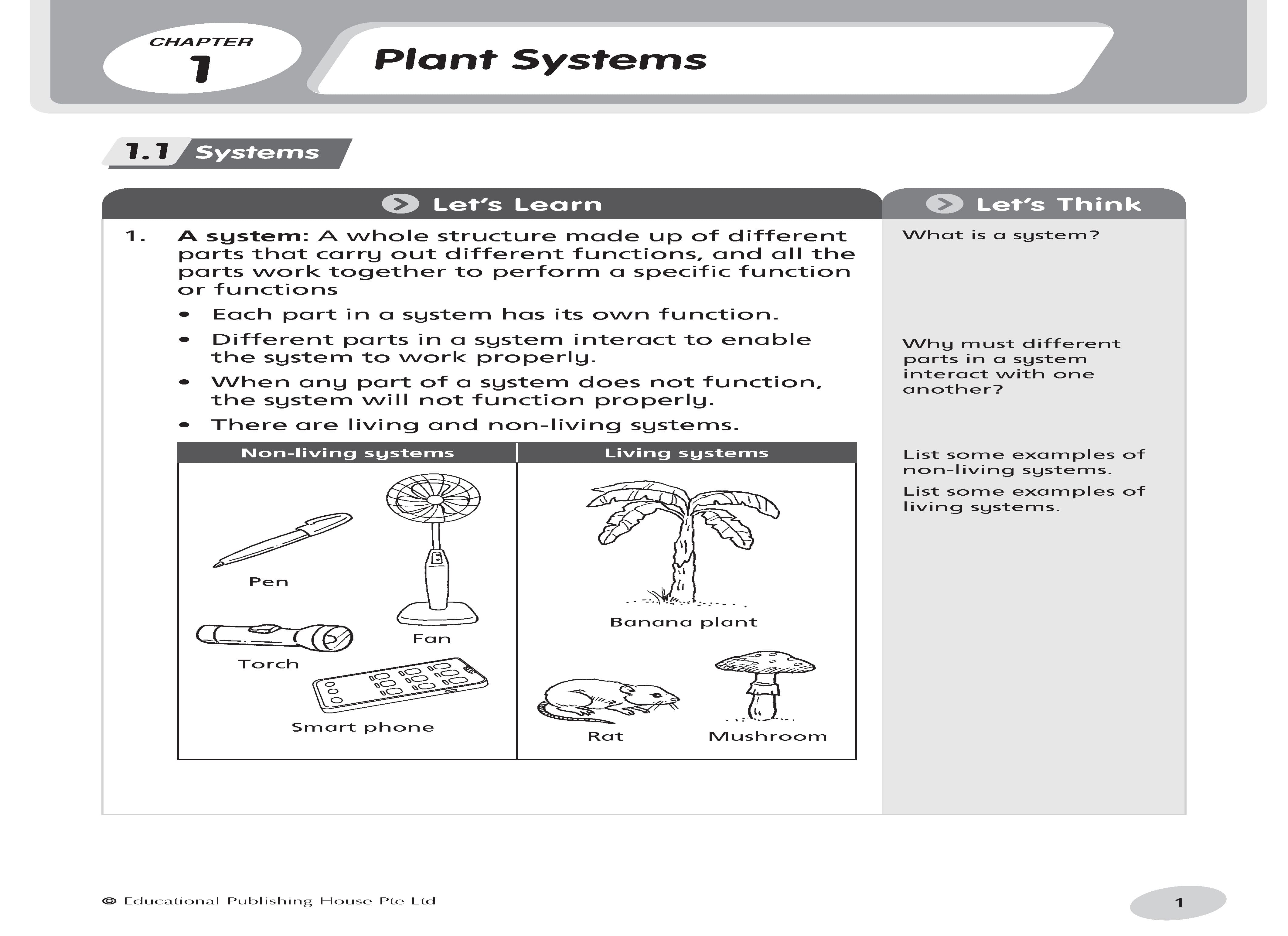 Primary 4 Science Notes & Practice