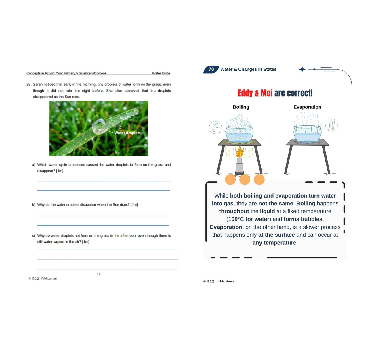 Primary 5 Science Bundle – Physical Sciences (Get Your Concepts Right + Concepts In Action)