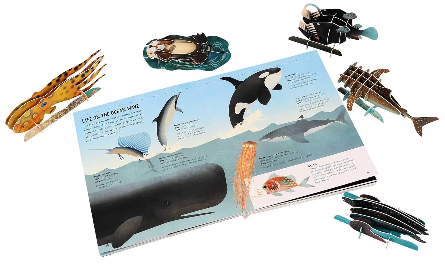 Amazing Earth: Oceans (Hardcover)