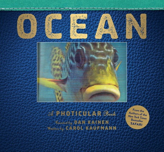 Ocean (Photicular)