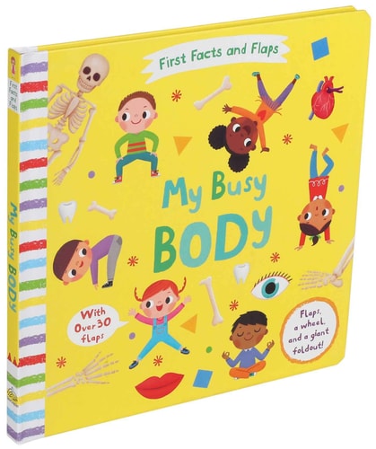 FIRST FACTS & FLAPS: MY BUSY BODY