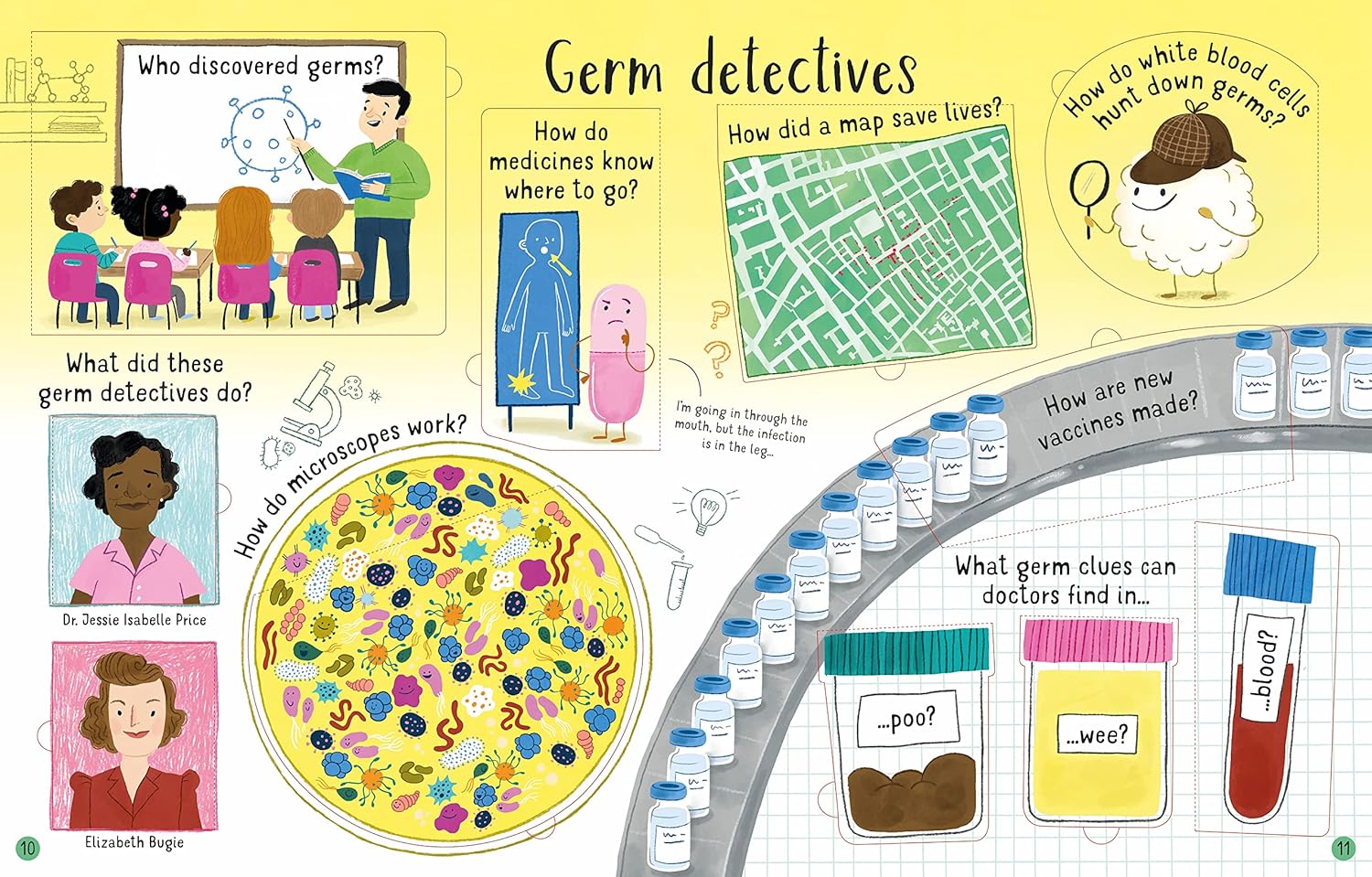 Lift-the-flap Questions and Answers about Germs
