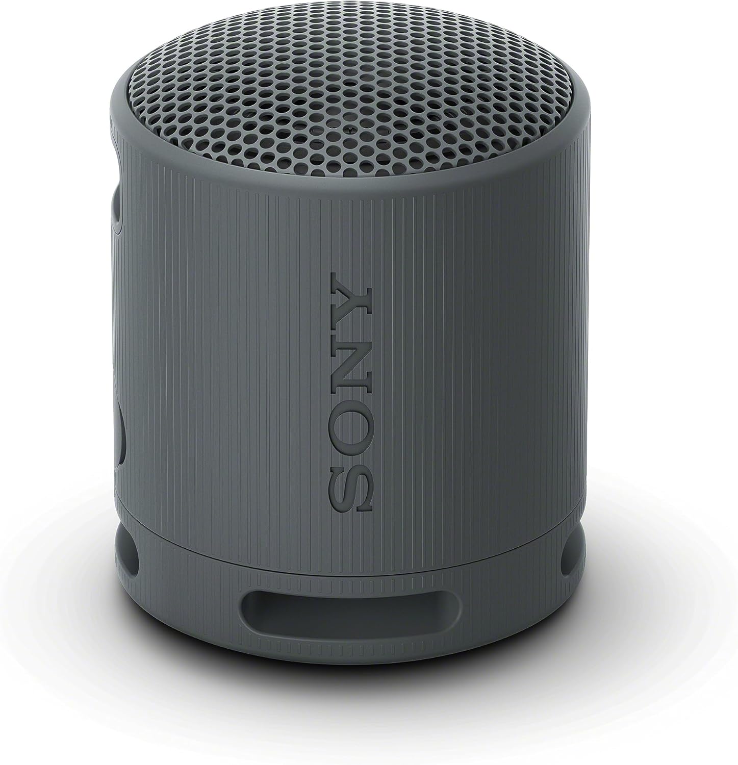 Sony XB100 Portable Wireless Speaker (Black)