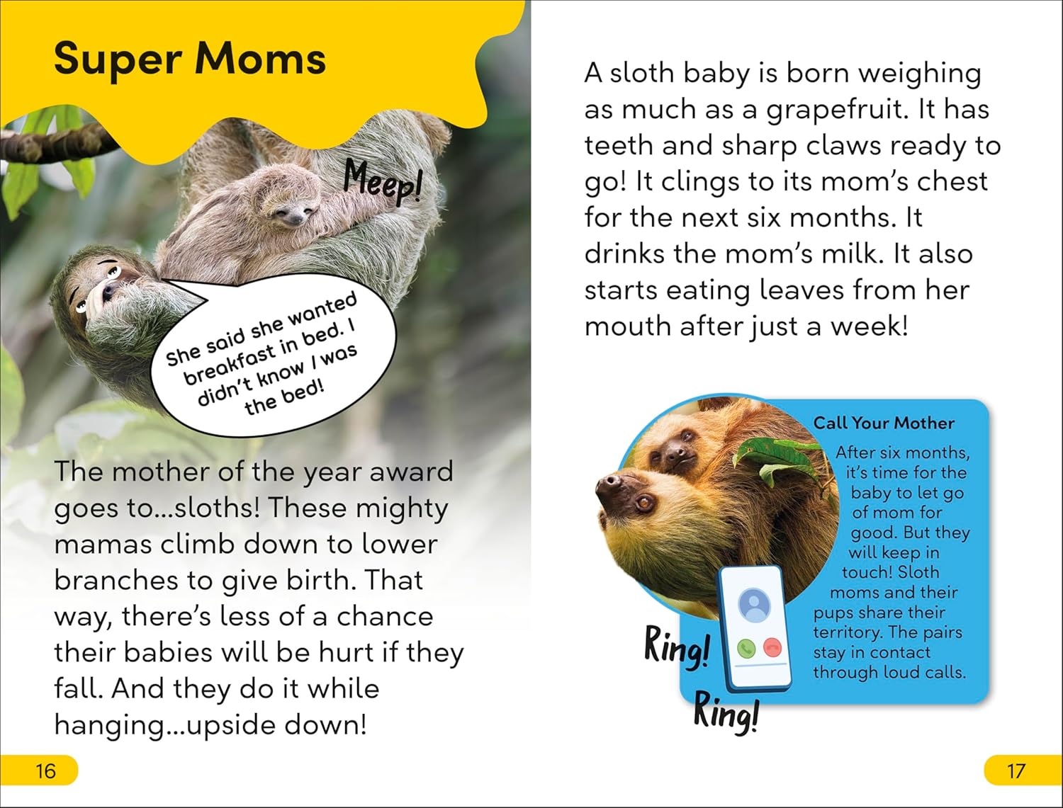 DK Super Readers Level 2 Sassy Sloth (Paperback)