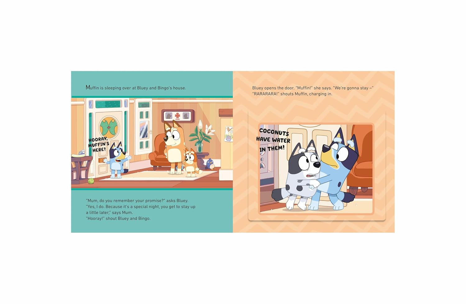 The Sleepover (Bluey) Paperback