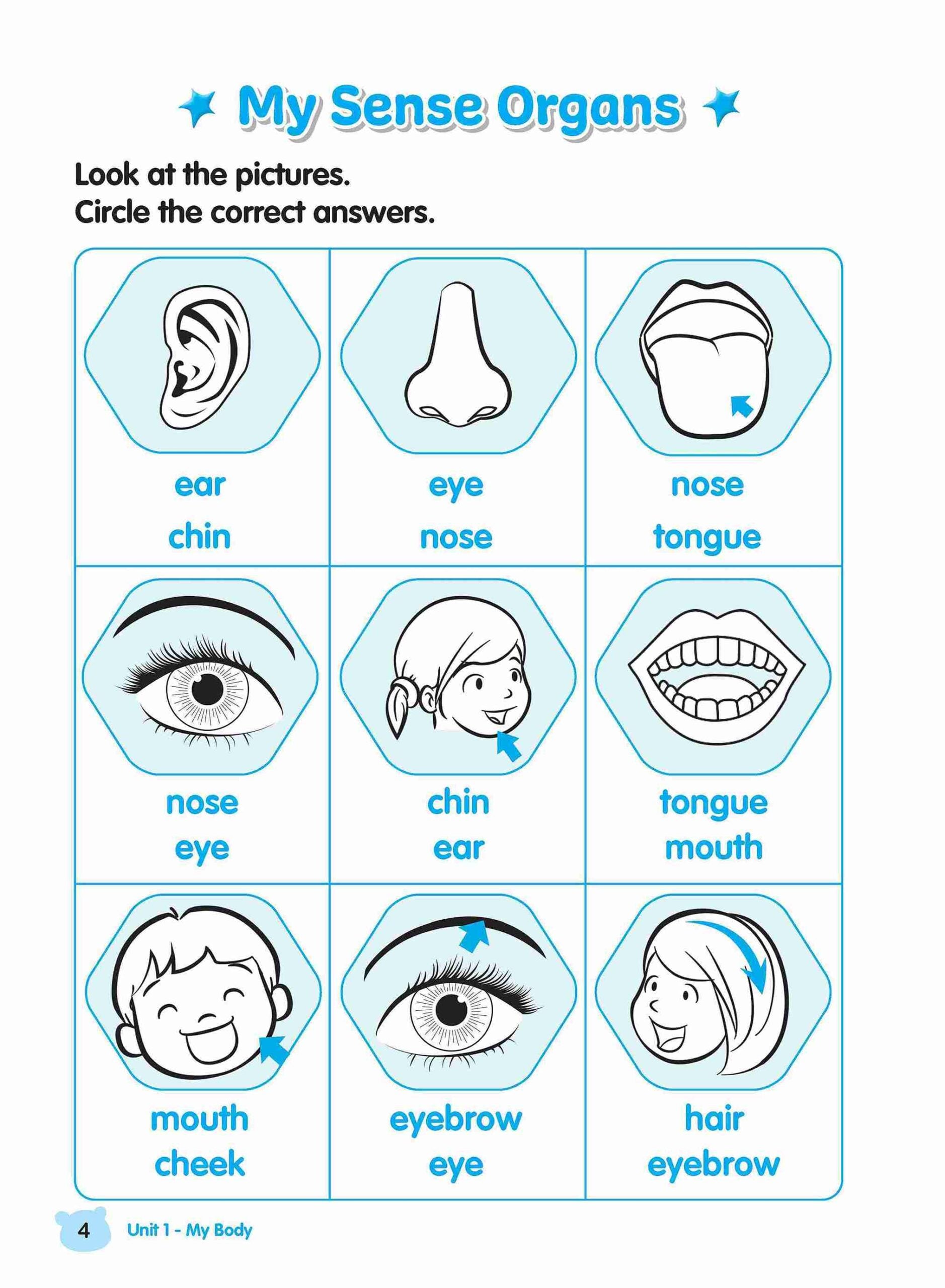 Rainbow Science Activity Book Kindergarten 1A