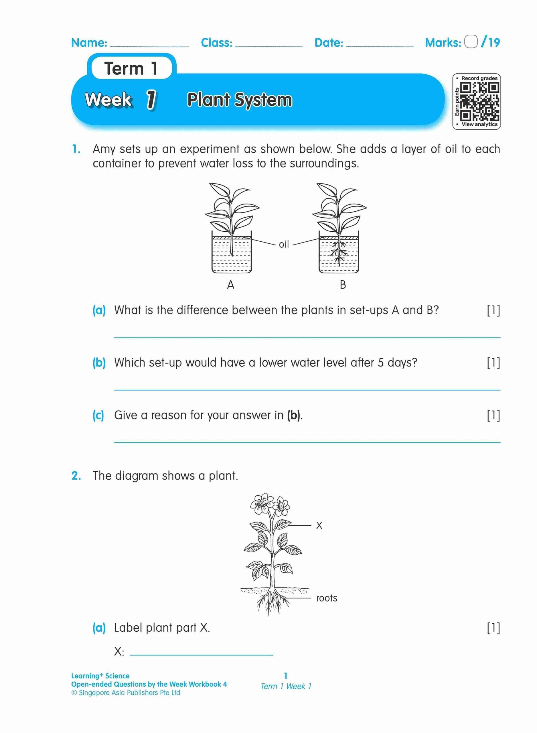 Primary 4 LEARNING+ SCIENCE Open-ended Questions by the WEEK Workbook 4