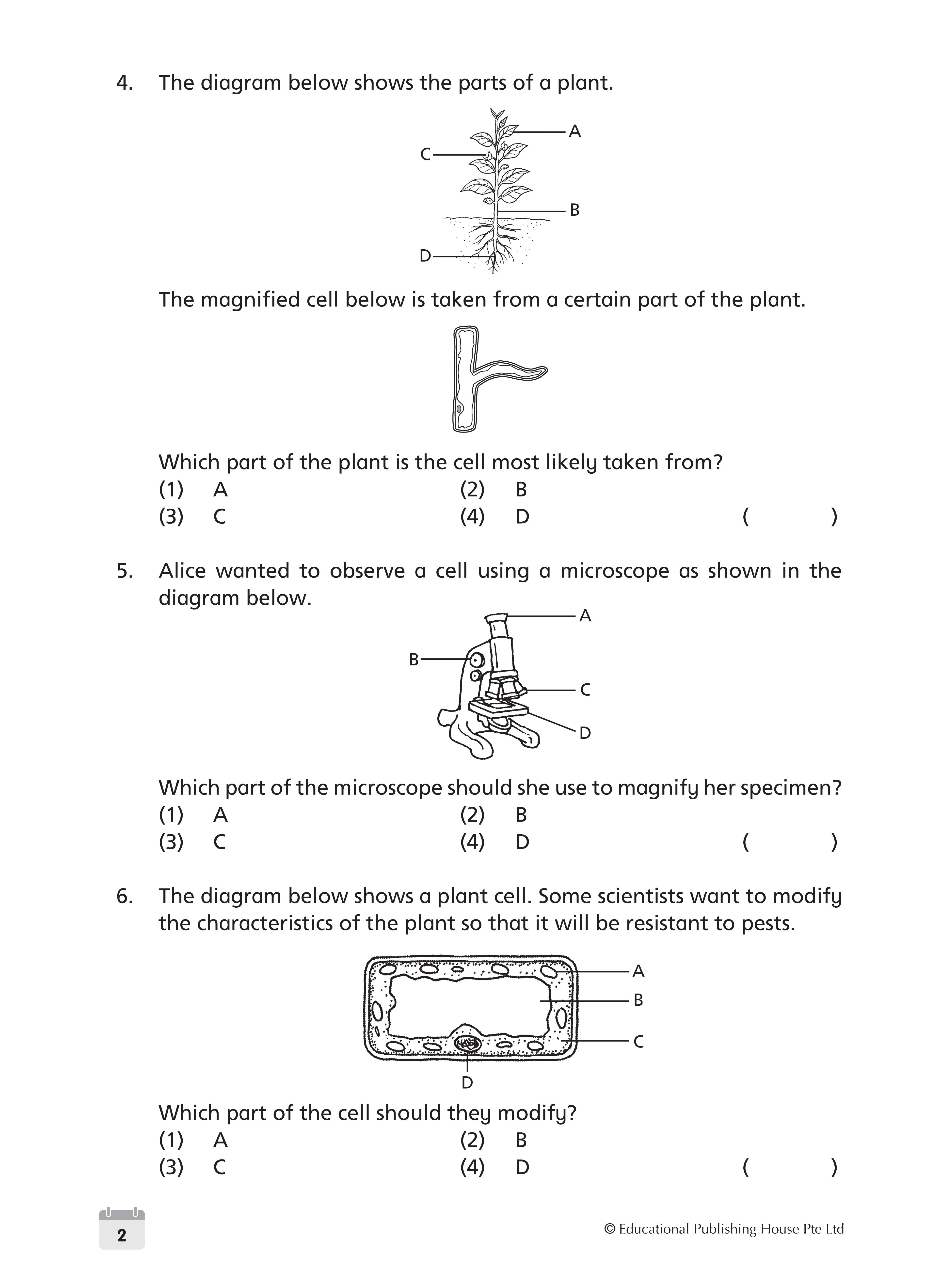 Primary 5 Science Weekly Revision - 3rd Edition