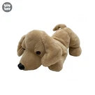 Uw Ss 12 Brown Dog