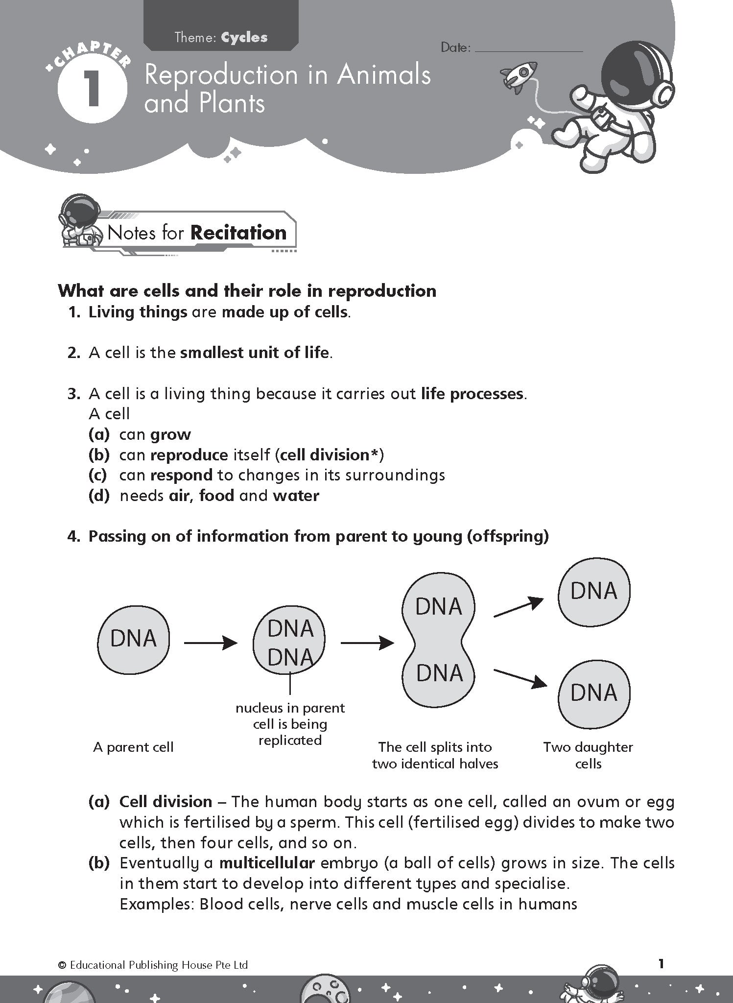 Primary 5 Rise To Excel In Science