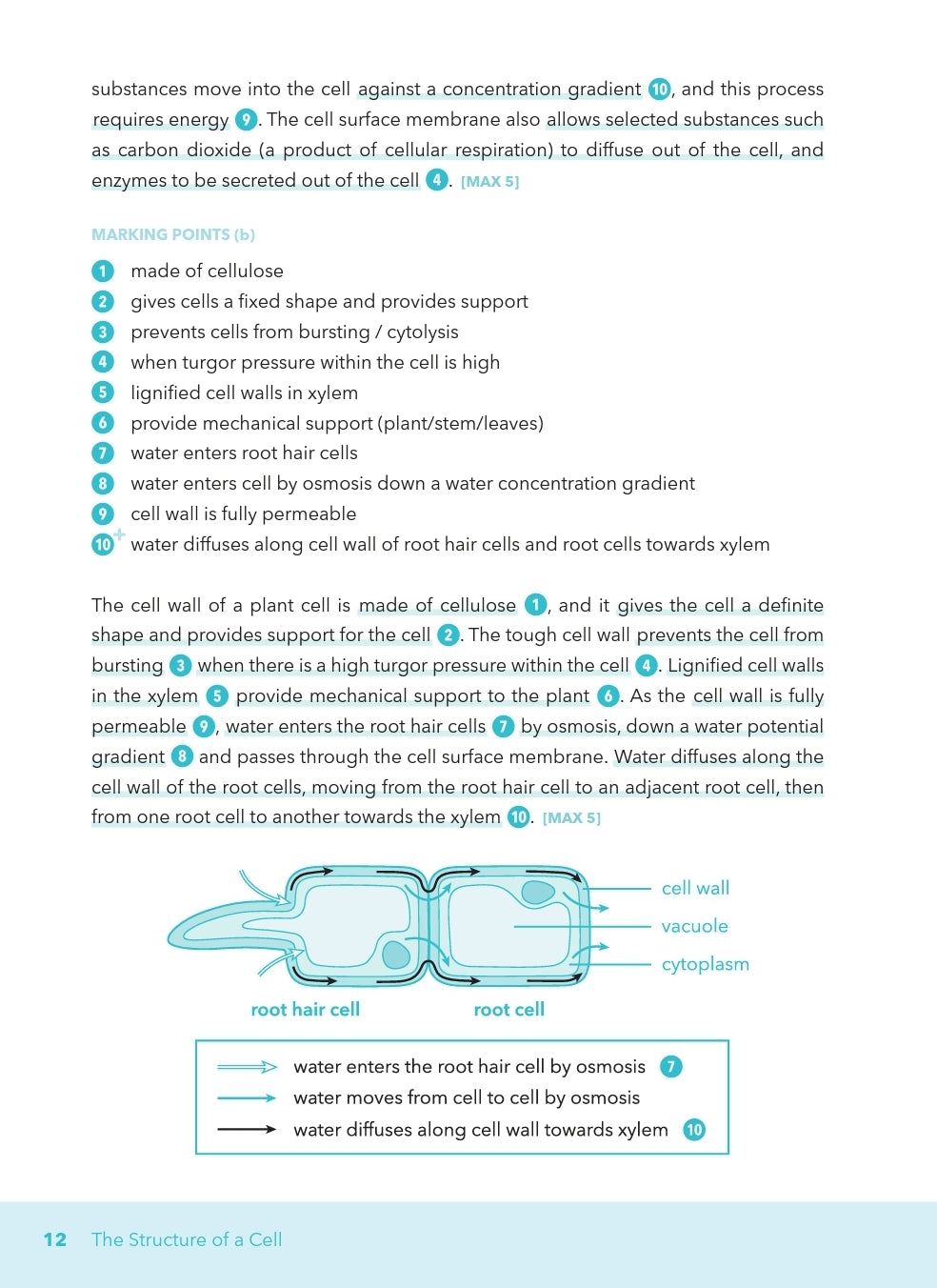 O-Level Biology Essays Simplified!