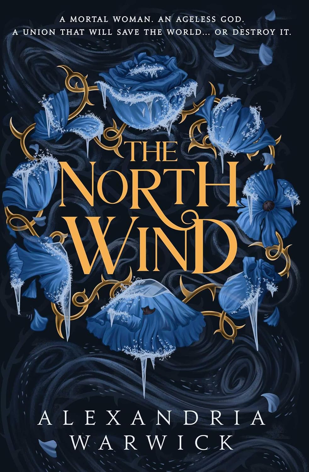 The North Wind: The TikTok sensation! An enthralling enemies-to-lovers romantasy, the first in the Four Winds series: Volume 1