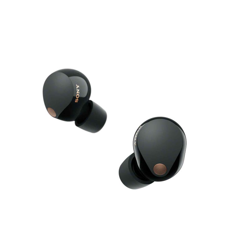 Sony WF-1000XM5 Wireless Noise Cancelling Headphones (Black)
