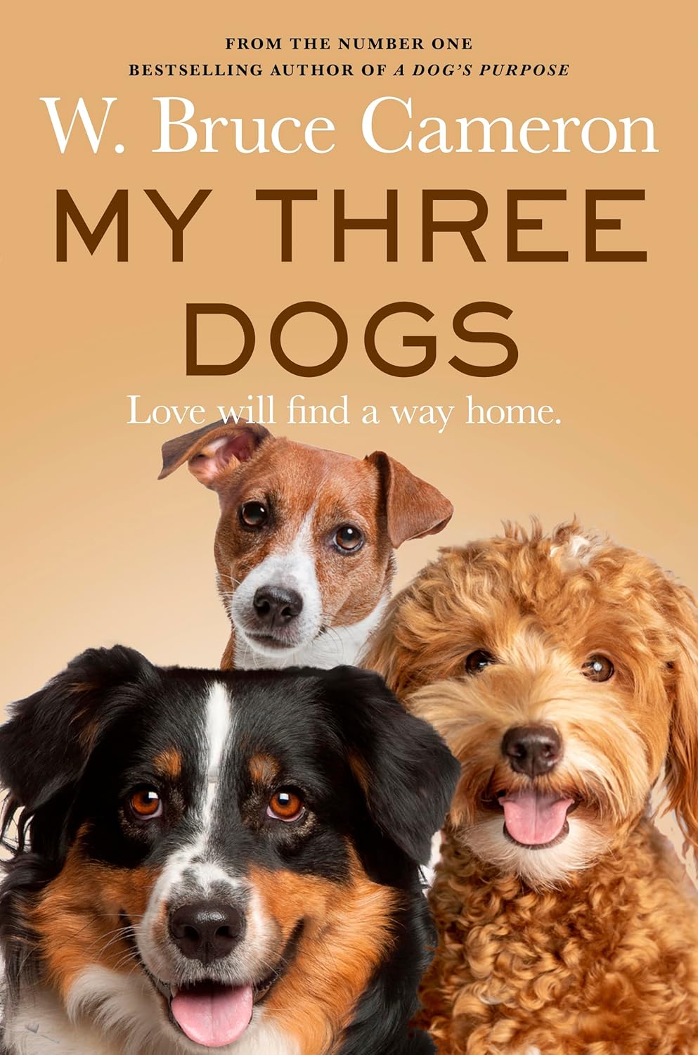 My Three Dogs : A Heartwarming Tale about Friendship, Family and Finding Home