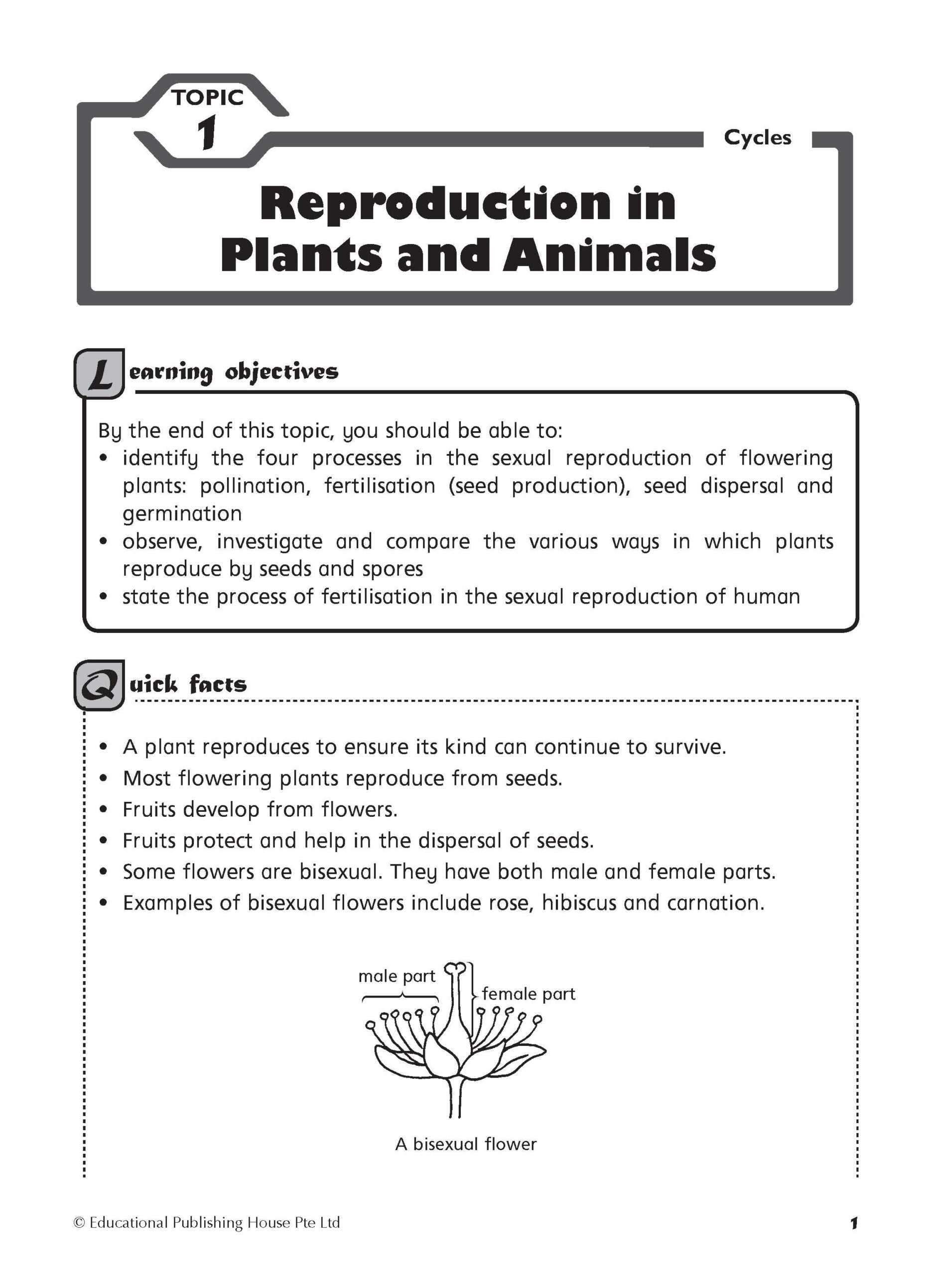 Primary 5/6 Foundation Science Topical Practice Workbook