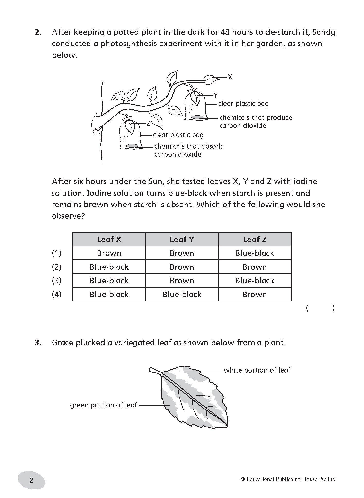 Primary 6 Science Tests