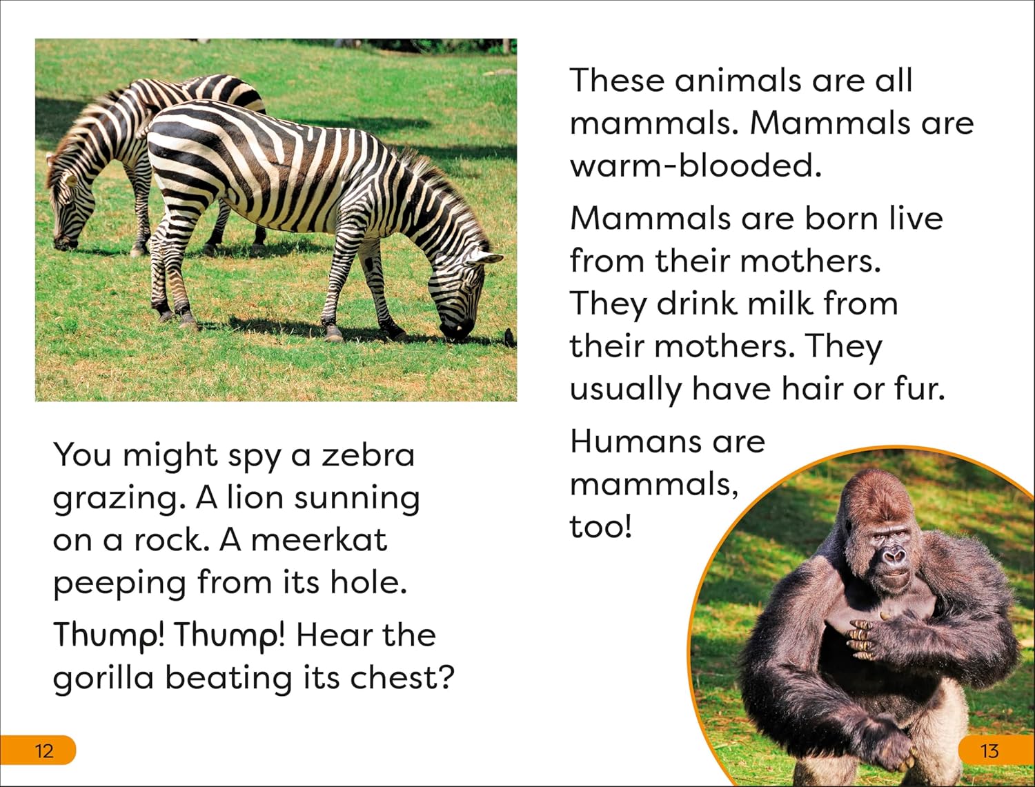 A Trip To The Zoo (DK Super Readers Level 1) – Paperback