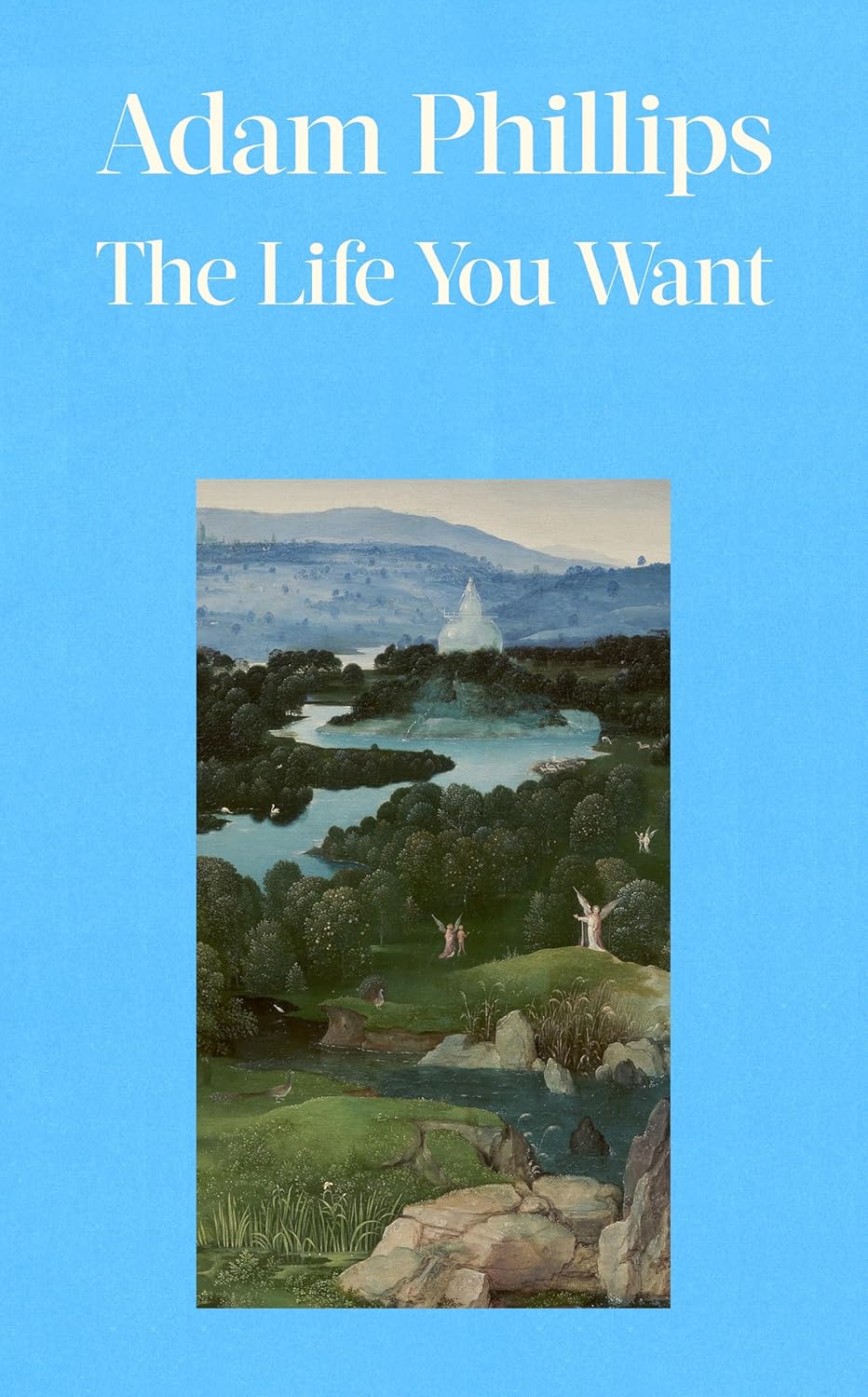 The Life You Want (Hardcover)