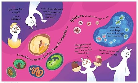 C-whiz Kids : What's Next? (sequence Puz