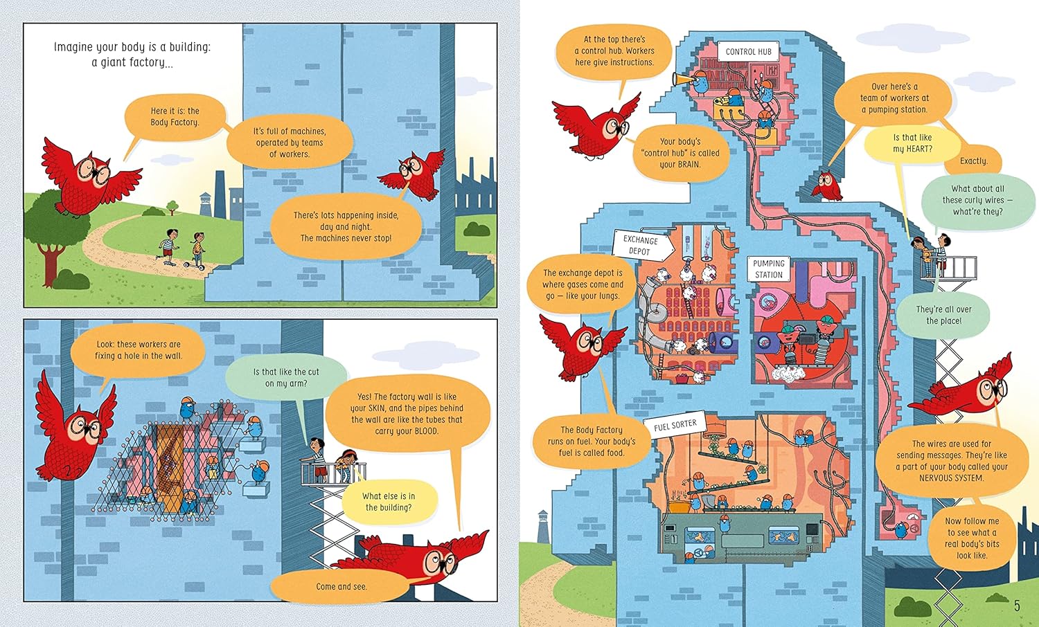 Book of the Body and How it Works