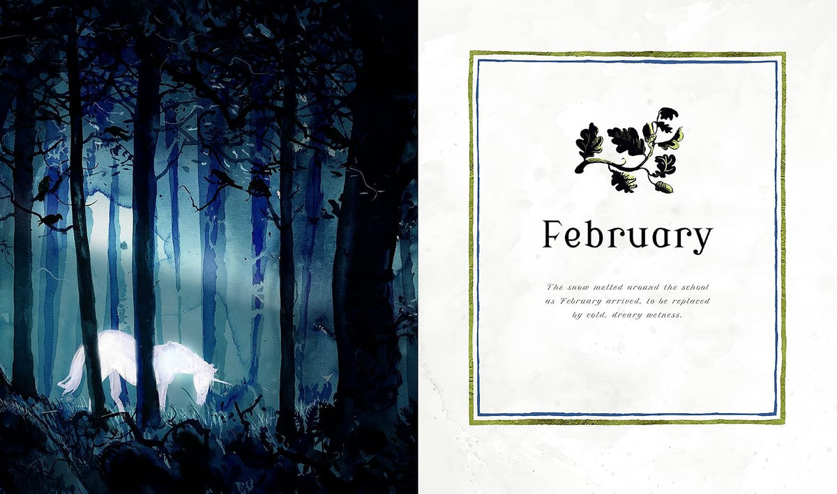 Harry Potter – A Magical Year The Illustrations of Jim Kay (Hardback)