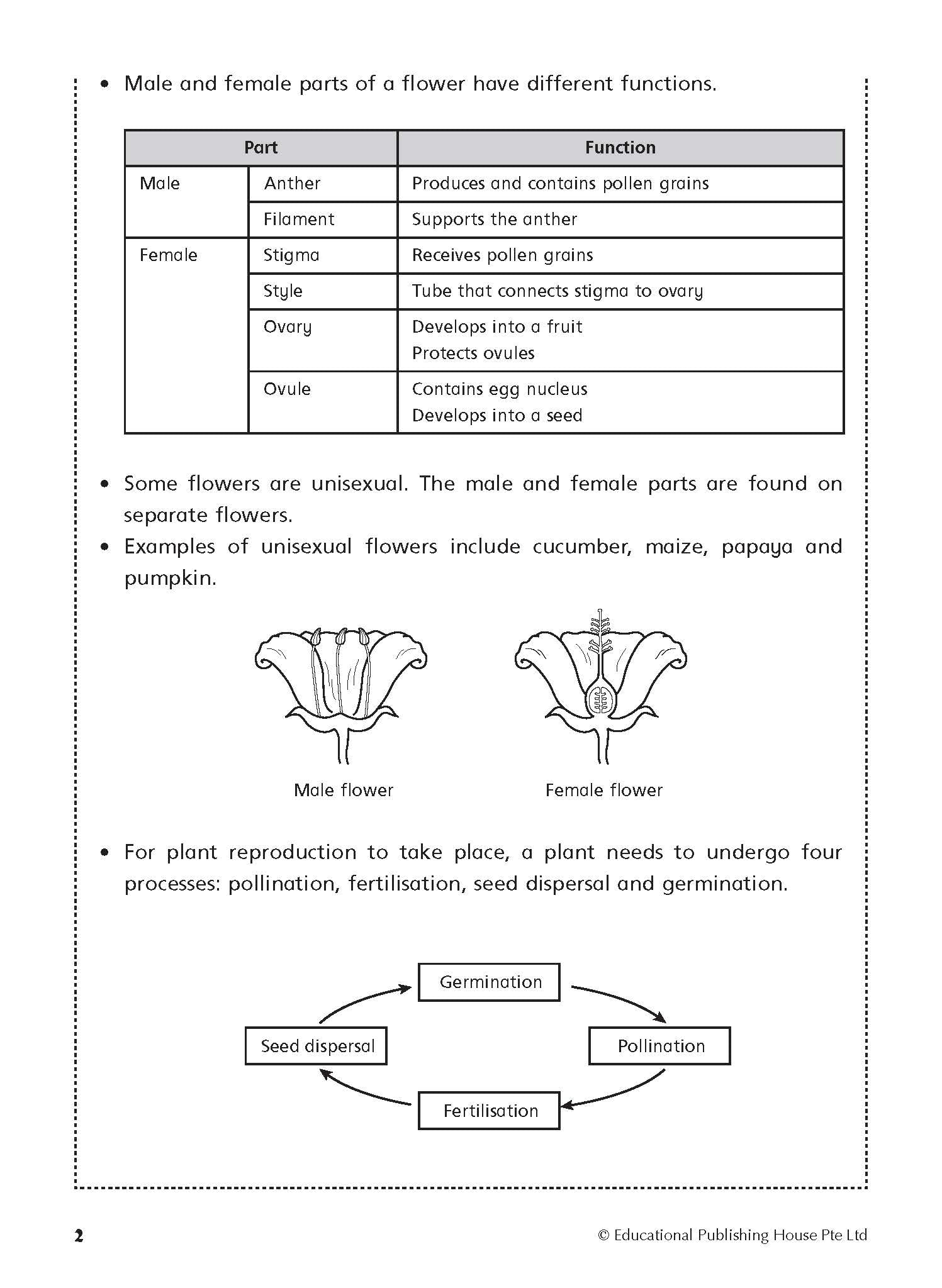 Primary 5/6 Foundation Science Topical Practice Workbook