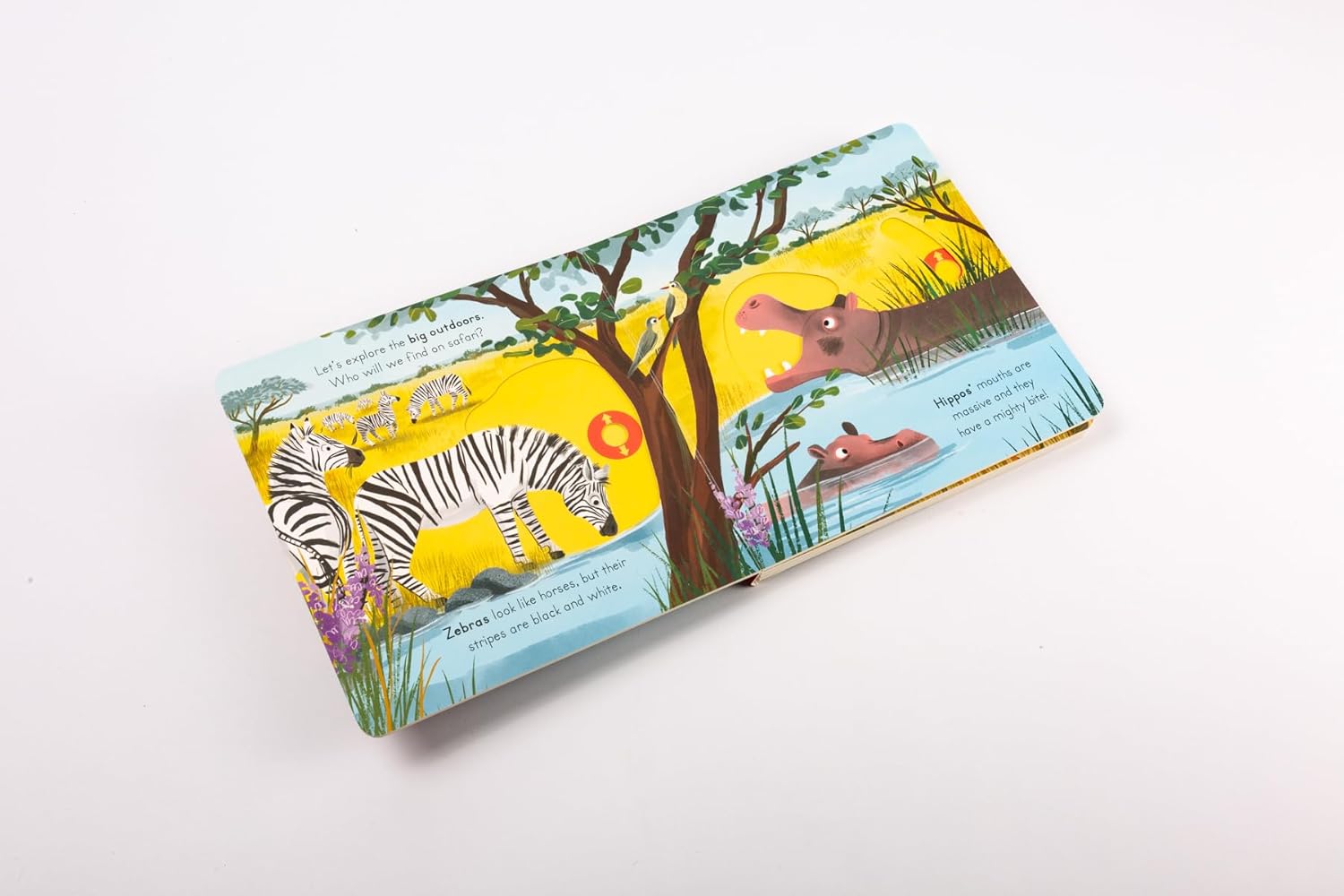 Big Outdoors Little Explorers: Safari