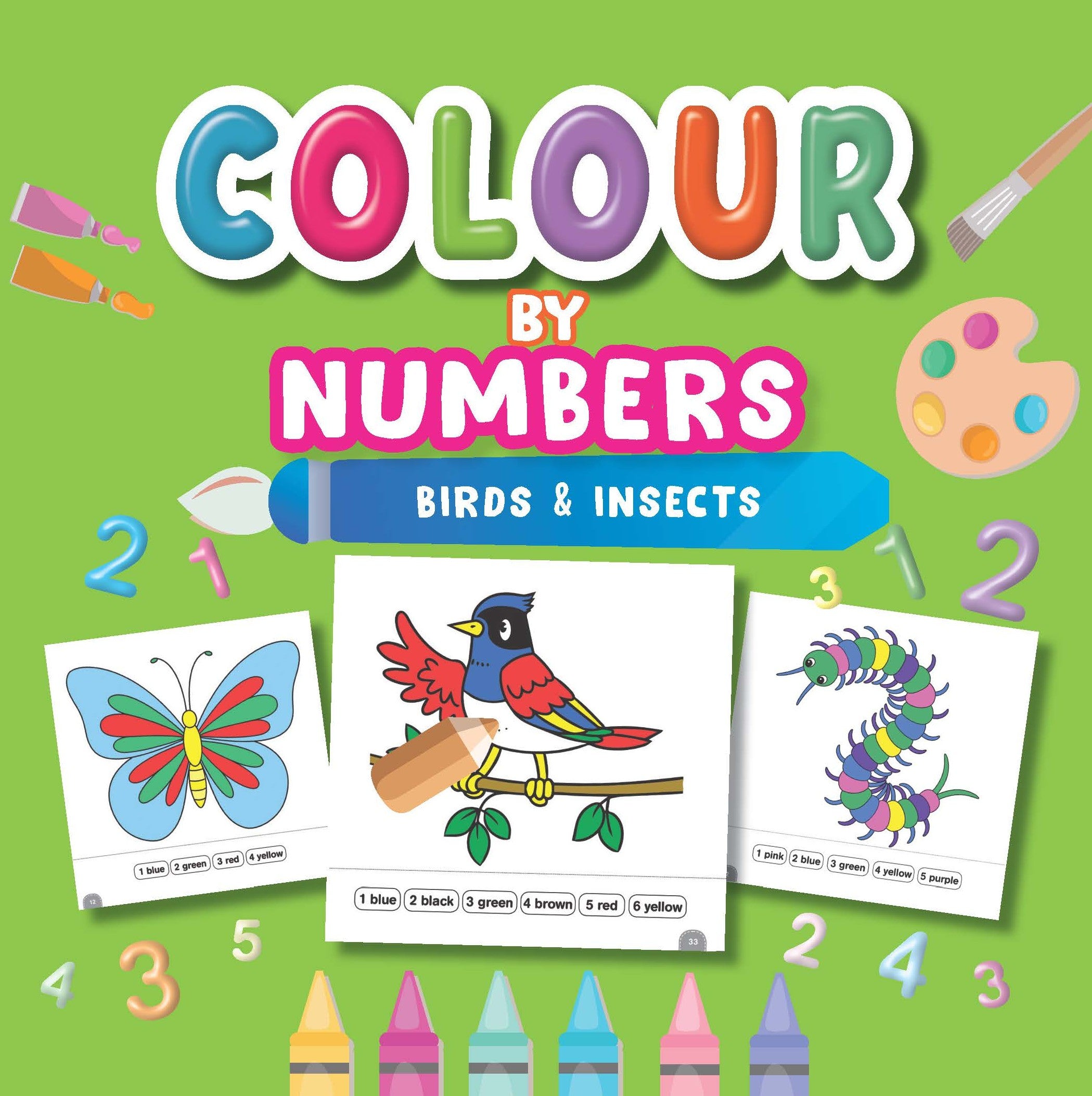 Colour By Numbers Birds & Insects