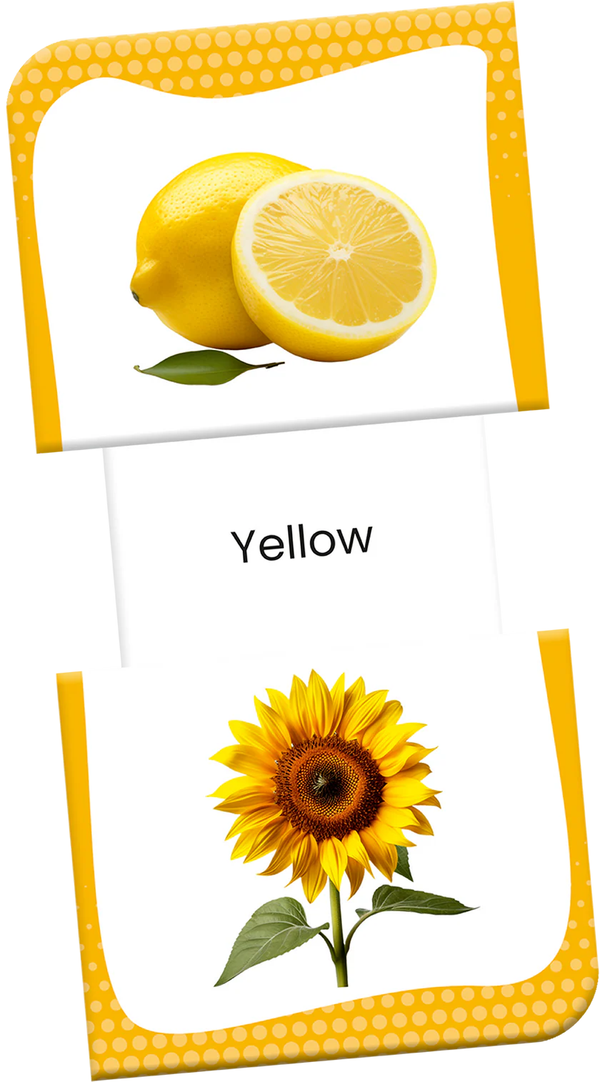 Slide & Learn Flashcards: Colours & Shapes