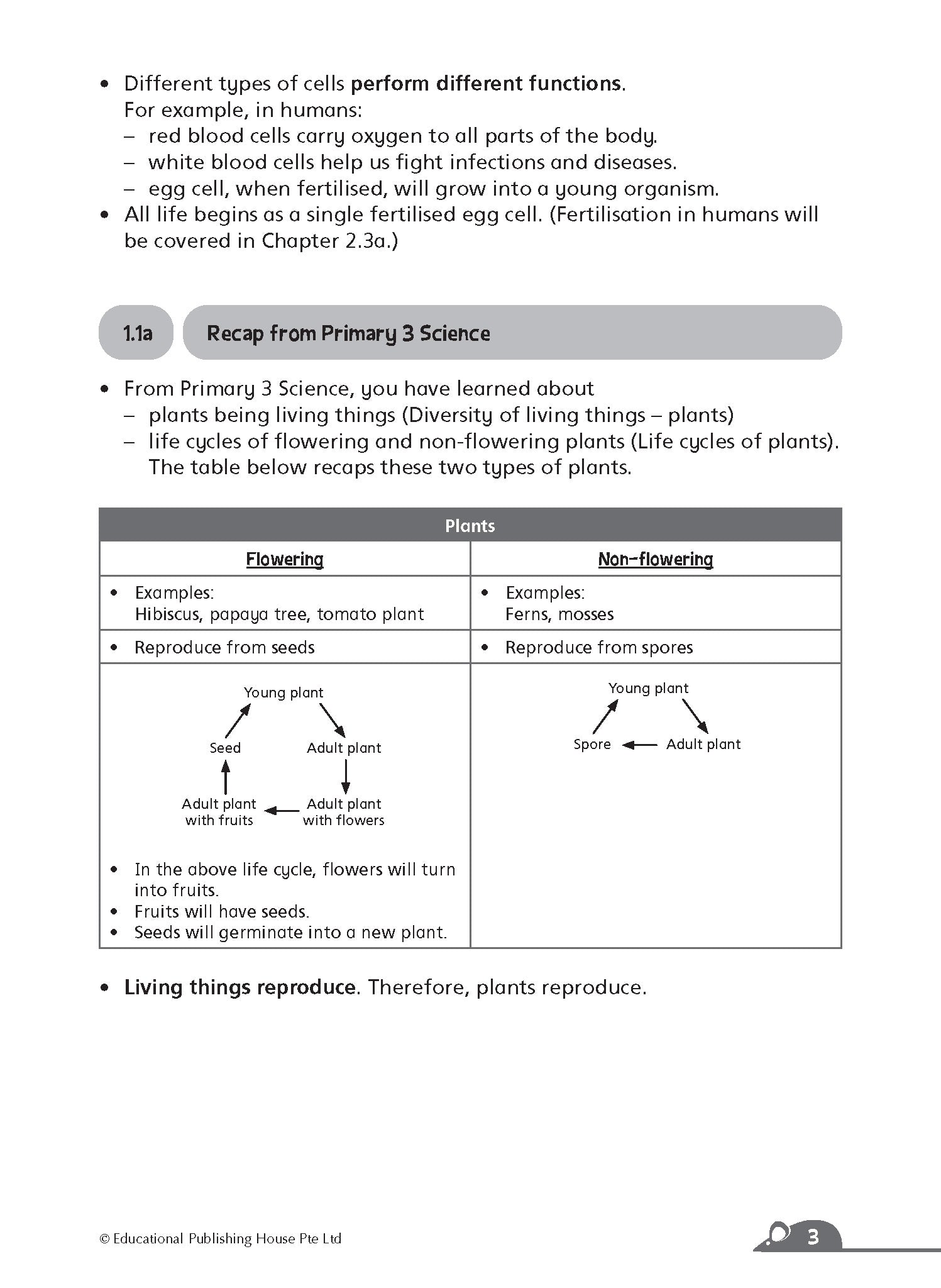 Primary 5 Complete Science Essentials