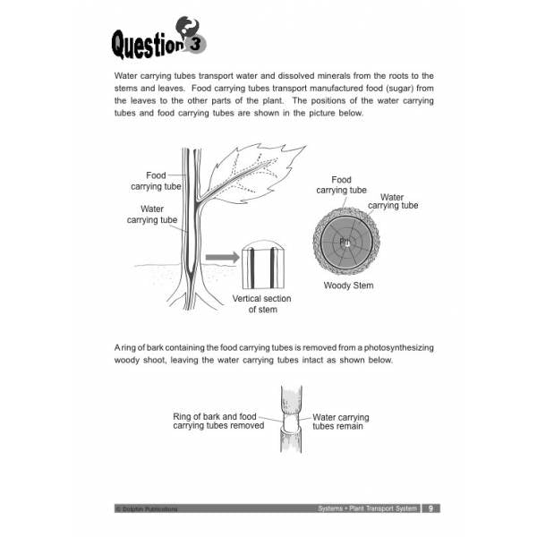 P5 Science Score In Open-ended Questions 