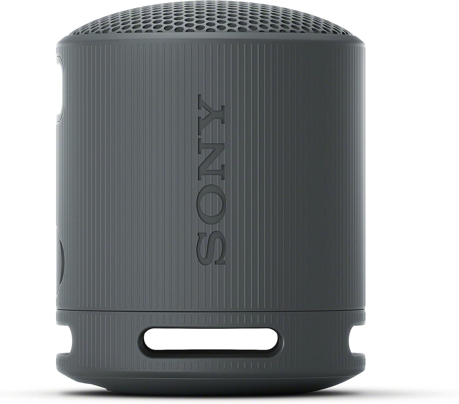 Sony XB100 Portable Wireless Speaker (Black)