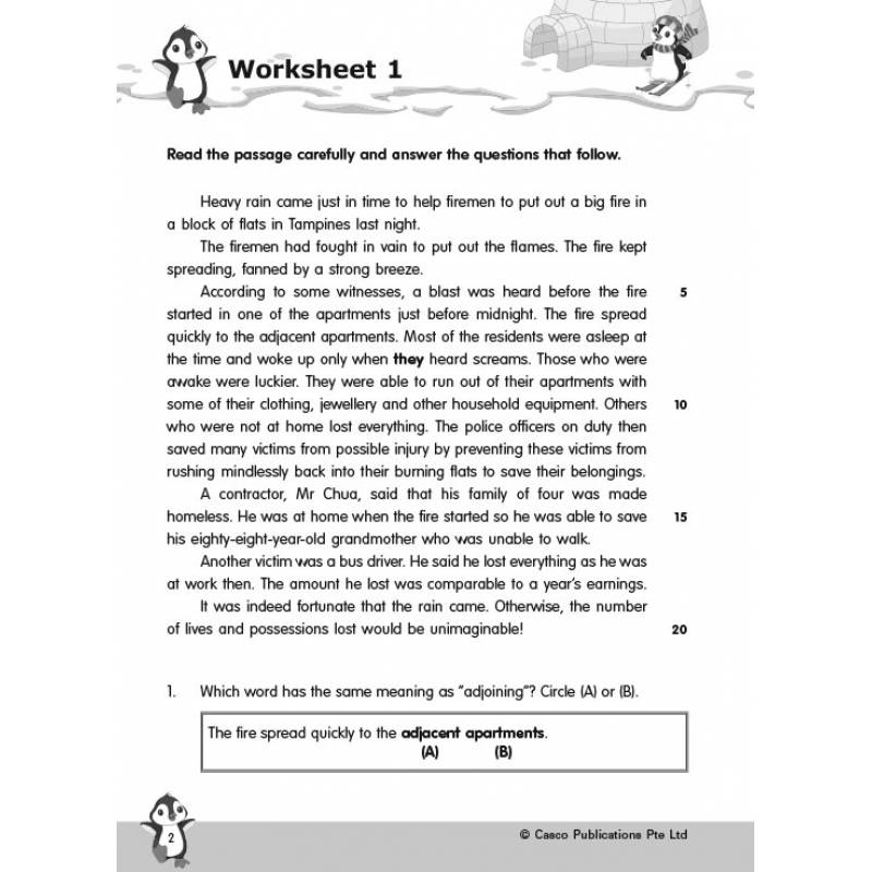 Primary 3 New English Comprehension