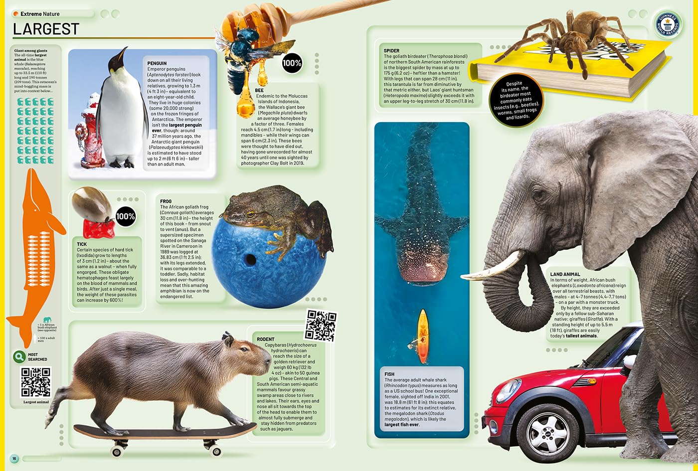 Guinness World Records 2026 (Hardcover)