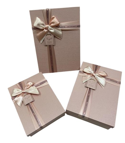 Gift Box (L) 29*21*9.5 Y91307