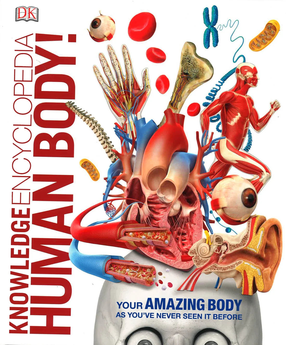 Knowledge Encyclopedia Human Body! (Hardcover)