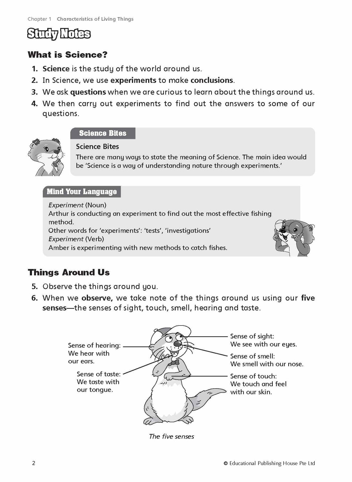 P3 Must Know Science Process Skills & Key Words 