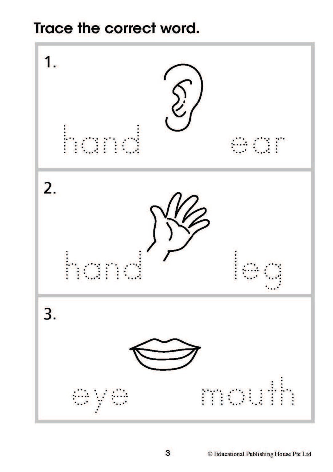 Write & Learn Vocabulary (n)