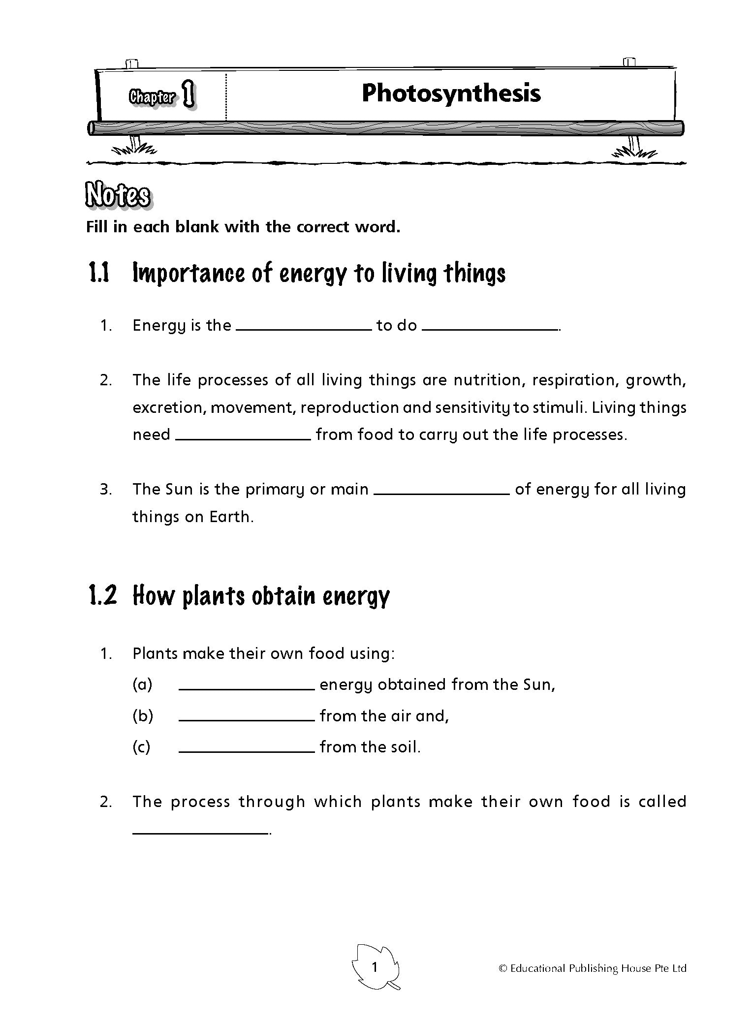 P6 Science Practice 1000+ 