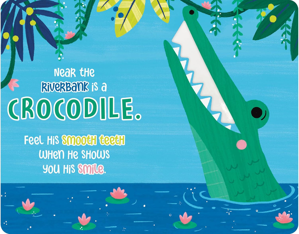 Baby's First Touch & Feel Wild (Board Book)