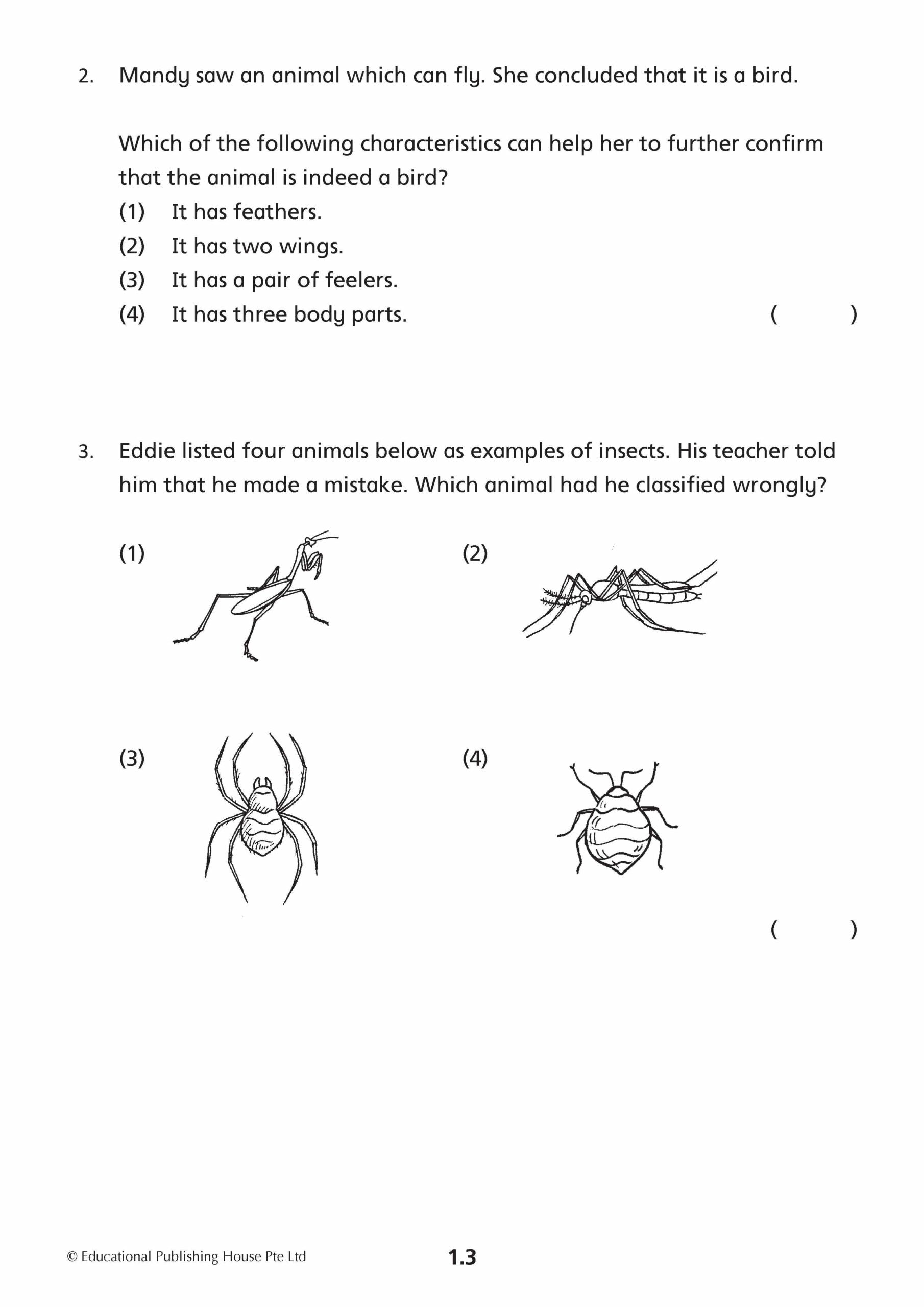 Primary 3 Science Mid-Year Review Papers