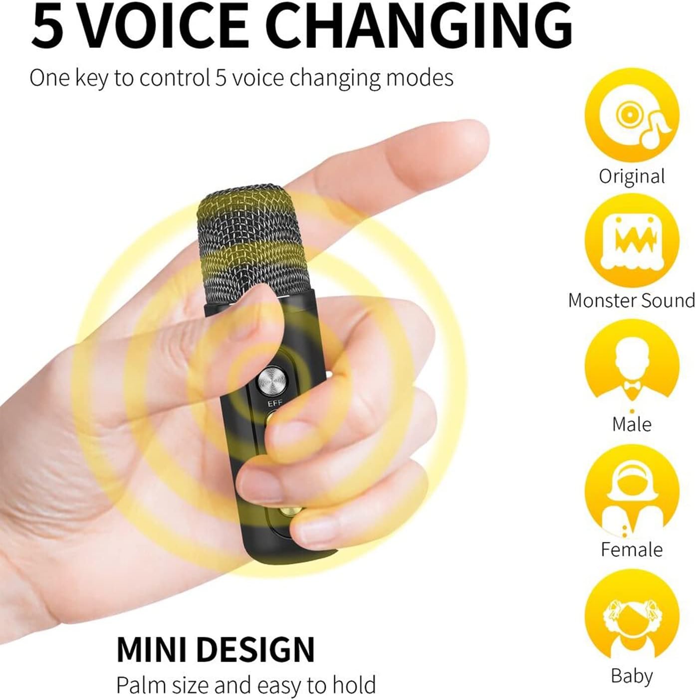 Karaoke Machine with Two Wireless Microphones 