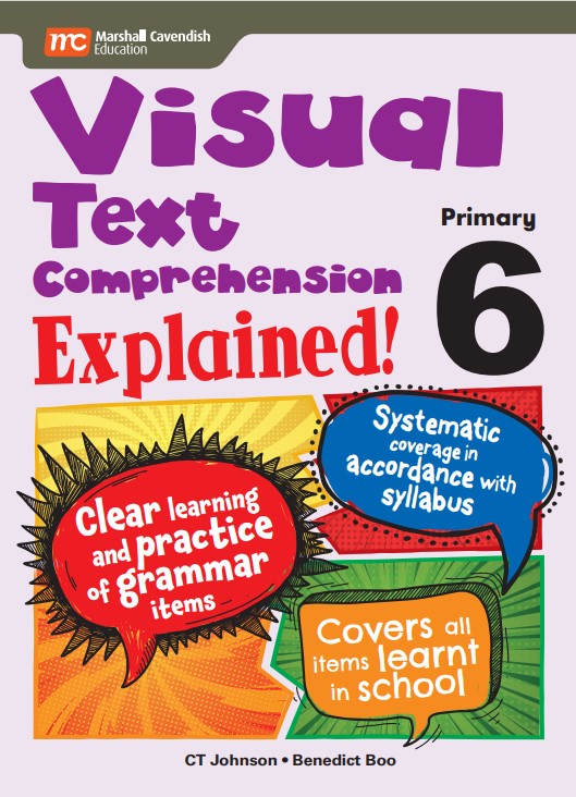 Primary 6 Visual Text Comprehension Explained!