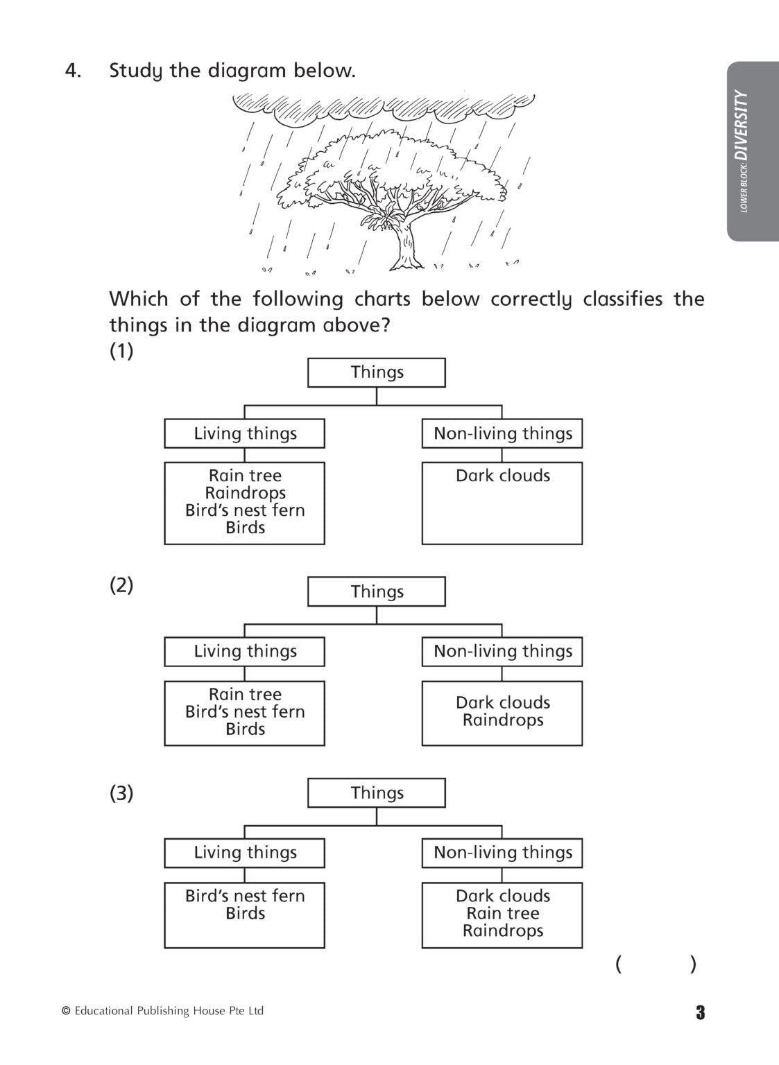 PSLE Foundation Science Topical Revision