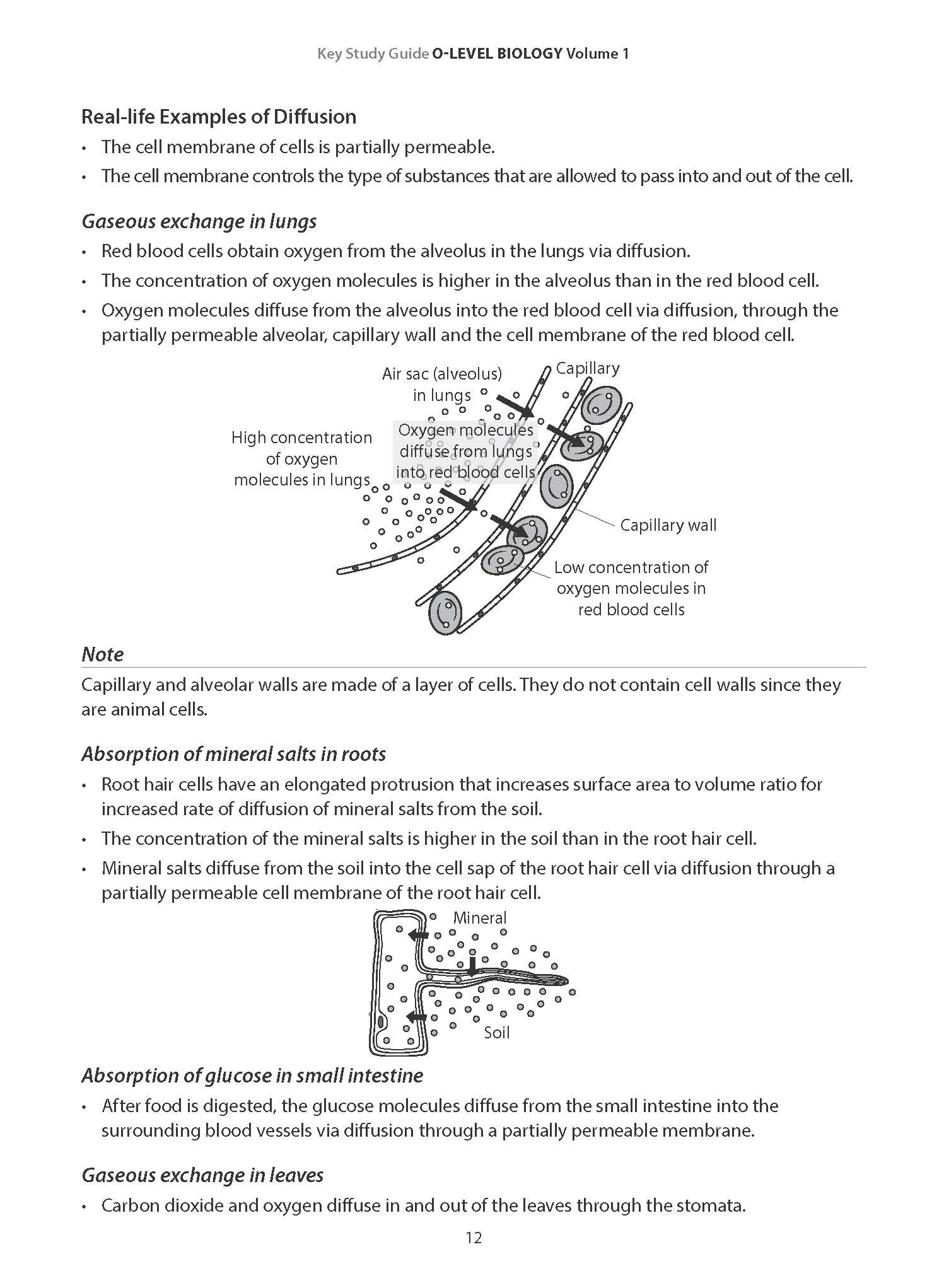 Key Study Guide: O-Level Biology Volume 1 Revision Notes & Practice