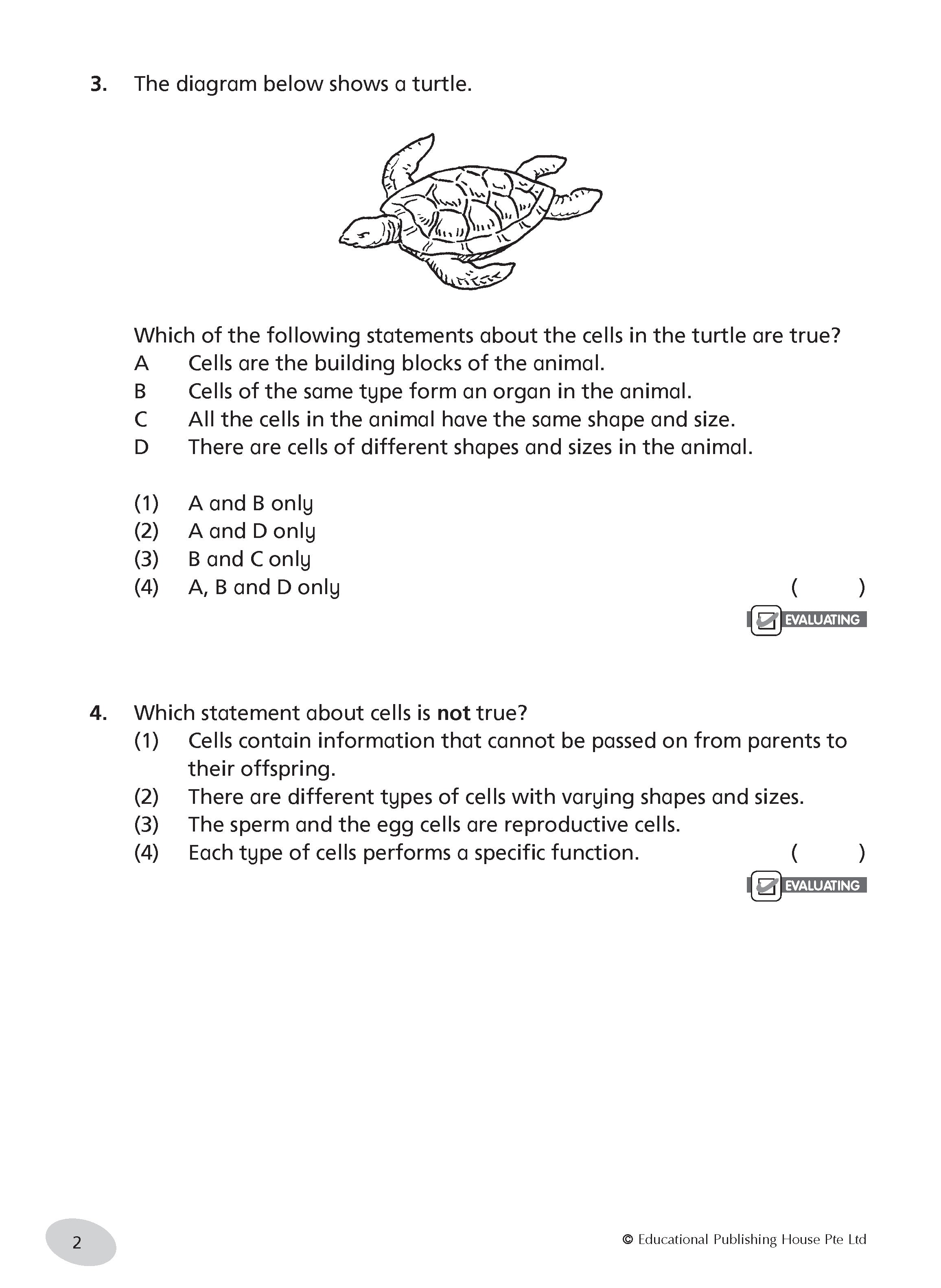 Primary 5 Science Practice