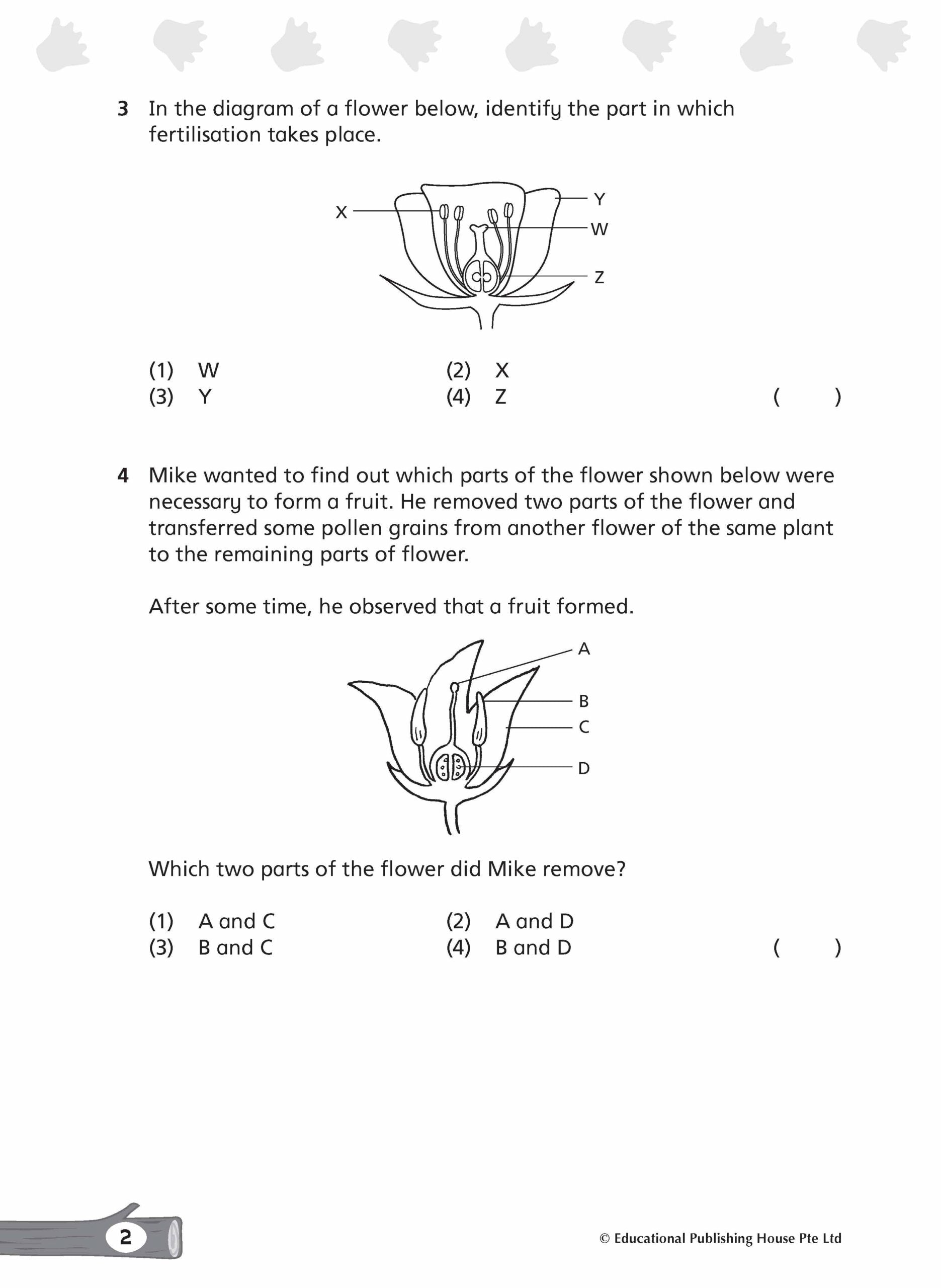 Primary 5/6 Complete Science Topical Tests Qr