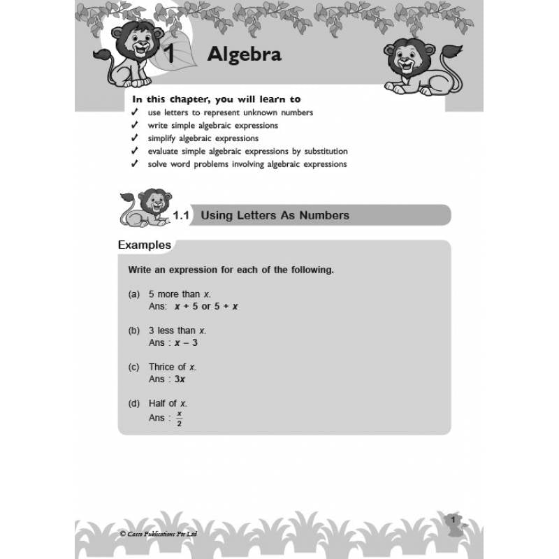 Lesson By Lesson Maths Primary 6